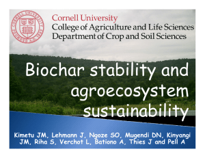 Biochar stability and agroecosystem sustainability