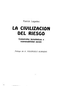 la ciuilizgcion del riesgo