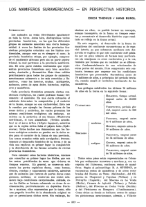 LOS MAMIFEROS SURAMERICANOS