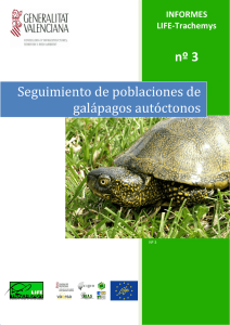 Seguimiento de poblaciones de galápagos autóctonos nº 3