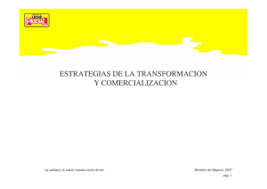 ESTRATEGIAS DE LA TRANSFORMACION Y COMERCIALIZACION