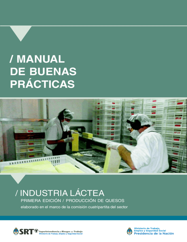 Manual De Buenas Prácticas