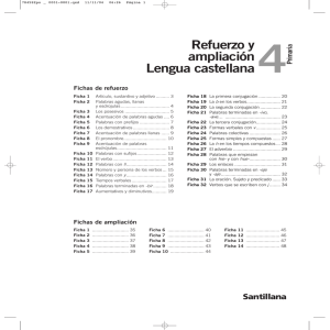 Refuerzo y ampliaci&oacute;n Lengua castellana
