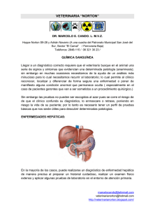 qu&iacute;mica sangu&iacute;nea