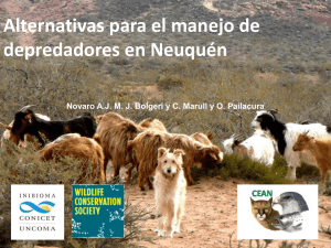 Alternativas para el manejo de depredadores en Neuquén