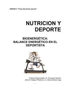 nutricion y deporte bioenergética: balance energético en el deportista