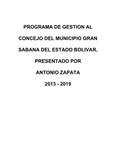 PROGRAMA DE GESTION AL CONCEJO DEL MUNICIPIO GRAN