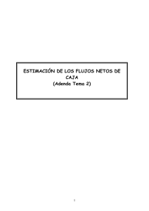 ESTIMACIÓN DE LOS FLUJOS NETOS DE CAJA (Adenda Tema 2)