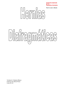 Hernias Diafragmáticas.