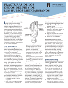 fracturas de los dedos del pie y de los huesos metatarsianos