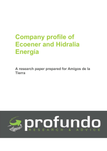 Company profile of Ecoener and Hidralia Energía A research paper