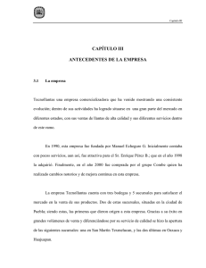 CAPÍTULO III ANTECEDENTES DE LA EMPRESA