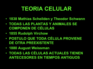 Diapositiva 1 - Santa María Del Trabajo