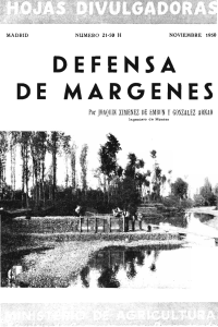 DEFENSA DE MARGENES