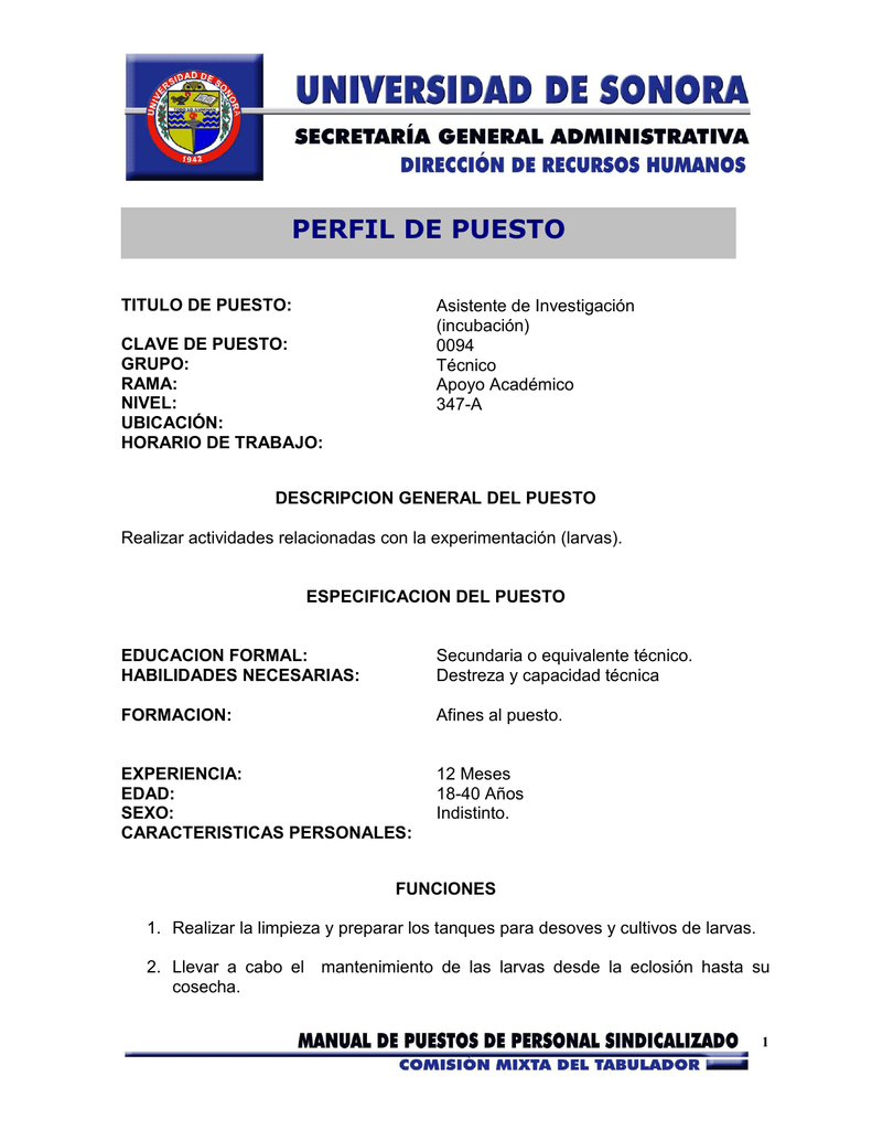 Ejemplo De Formato De Perfil De Puesto Gestion De Recursos Humanos Images 5751