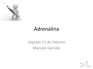 Adrenalina - Urgencia UC