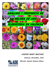 análisis y propuesta de mejora de una floristeria en valencia