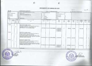 MOVIMIENTO DE BIENES DE USO