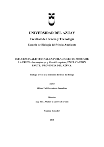 tesis p. sarmiento - DSpace de la Universidad del Azuay