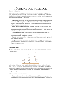 T&Eacute;CNICAS DEL VOLEIBOL