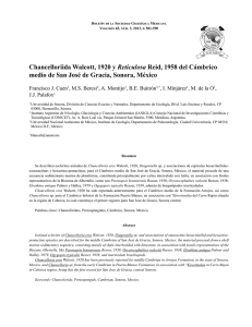 Chancelloriida Walcott, 1920 y Reticulosa Reid, 1958 del C&aacute;mbrico