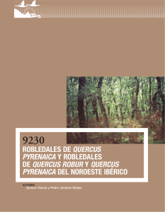 robledales de Quercus pyrenaica y robledales de Quercus robur y