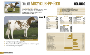 7HO11608 Mozygus-Pp-Red
