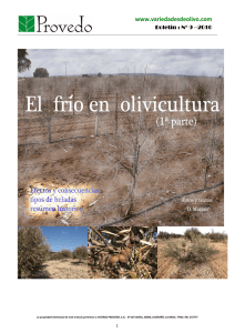 El Frio en olivicultura