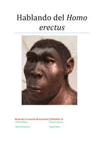 Hablando del Homo erectus