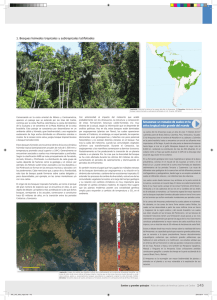 Amazonas: un mosaico de suelos en la selva tropical más grande