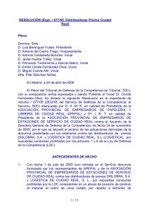 RESOLUCIÓN (Expt. r 677/05, Distribuidoras Prensa Ciudad Real