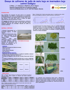 Diapositiva 1 - Publicaciones Cajamar