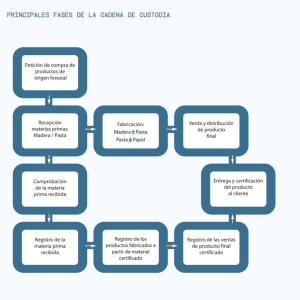 principales fases de la cadena de custodia