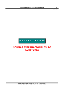 normas internacionales de auditoria