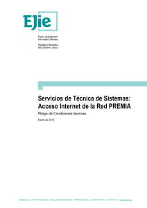 Servicios de Técnica de Sistemas: Acceso Internet de la Red