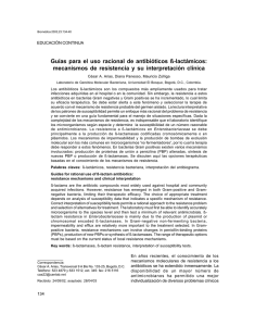 Guías para el uso racional de antibióticos ß-lactámicos