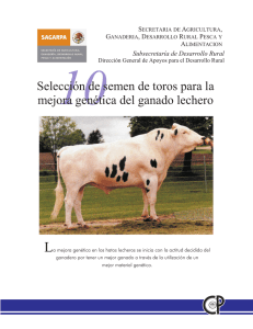 Selección de semen de toro para la mejora genética