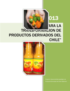 manual para la transformacion de productos derivados del chile