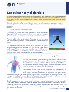 Los pulmones y el ejercicio