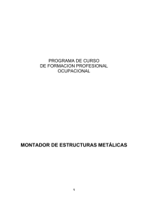 MONTADOR DE ESTRUCTURAS METÁLICAS