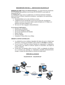Descripción Técnica - Servicios de Telefonía IP