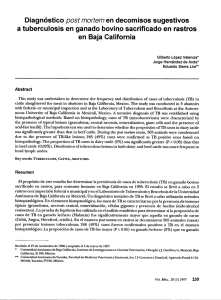 Diagnóstico post mortem en decomisos sugestivos