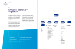 2.3 Estructura operativa y de gestión