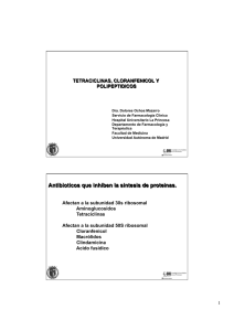 Tetraciclinas - Universidad Autónoma de Madrid