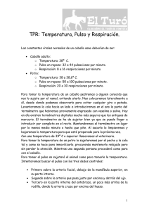 TPR: Temperatura, Pulso y Respiración.