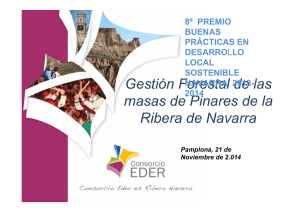 Gestión Forestal de las masas de Pinares de la Ribera de Navarra