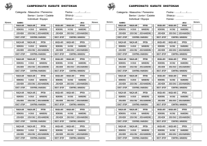 Puntuación Kumite Esp