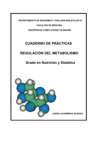 guiones de regulación e integración del metabolismo