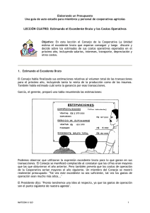 LECCIÓN CUATRO: Estimando el Excedente Bruto y los Costos