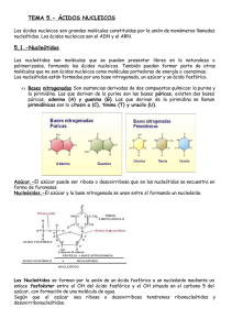 TEMA 5.- ÁCIDOS NUCLEICOS 5.1.-Nucleótidos